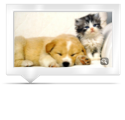 collage image title